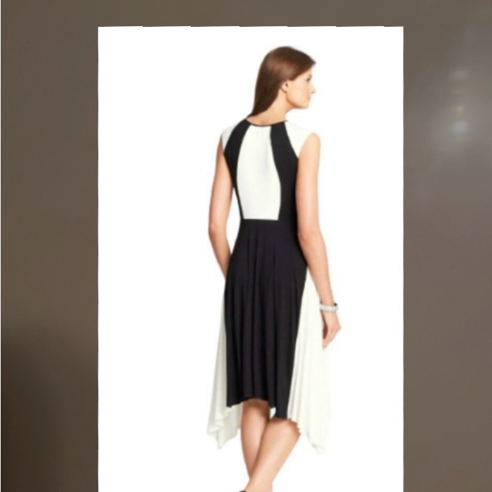 Elegant Black and White Dress - Picture 2 of 6